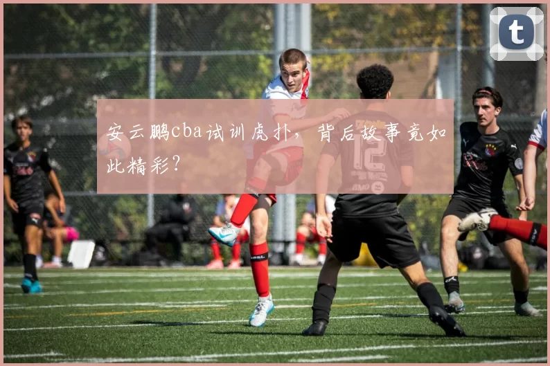 安云鹏cba试训虎扑,背后故事竟如此精彩?
