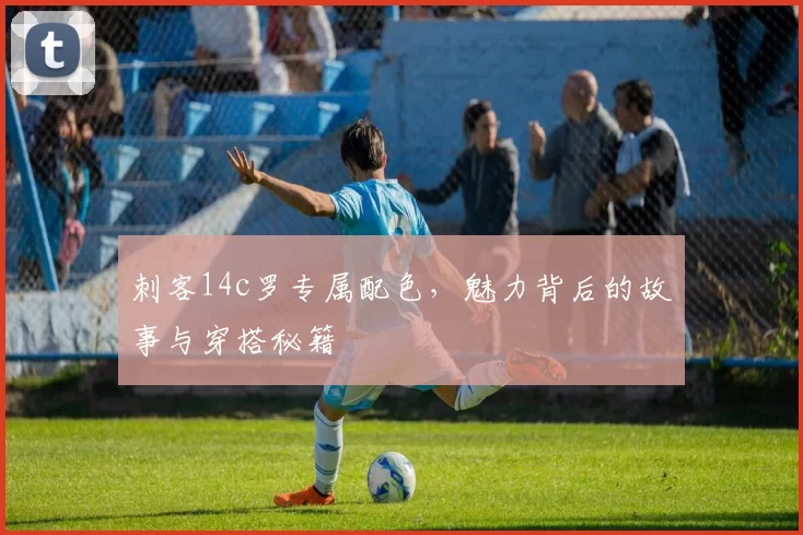 刺客14c罗专属配色,魅力背后的故事与穿搭秘籍