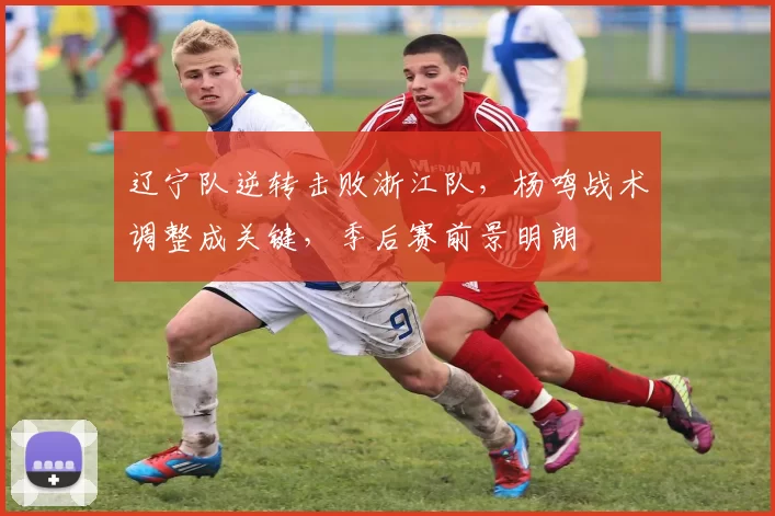 辽宁队逆转击败浙江队，杨鸣战术调整成关键，季后赛前景明朗