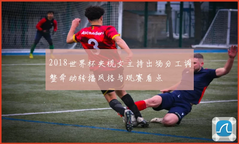 2018世界杯央视女主持出场分工调整牵动转播风格与观赛看点