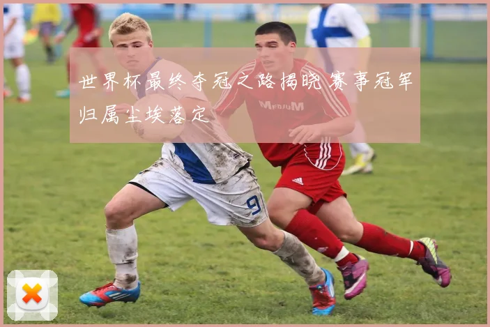 世界杯最终夺冠之路揭晓 赛事冠军归属尘埃落定