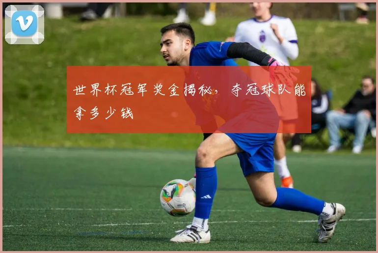 世界杯冠军奖金揭秘,夺冠球队能拿多少钱